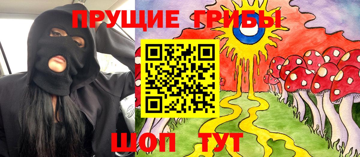 Псилоцибиновые грибы Psilocybe  Вход с VPN  Пенза  Галлюциногенные грибы прущие грибы 